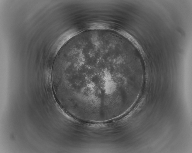 X0000115601337200911101357