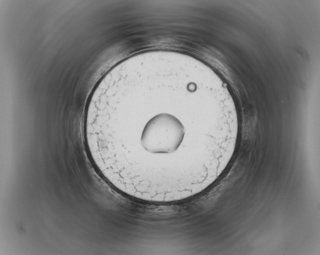 X0000115601338200911101357