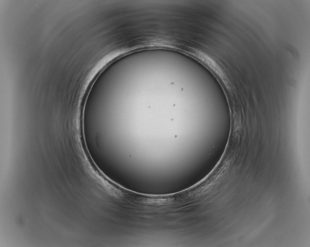 X0000115601339200911101357