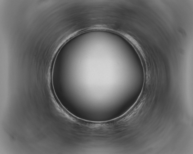 X0000115601341200911101357