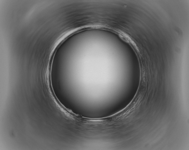 X0000115601343200911101357