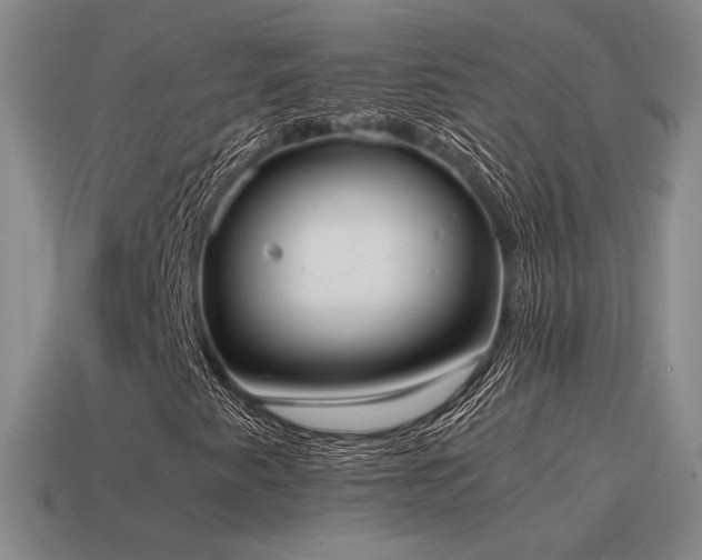 X0000115601345200911101357