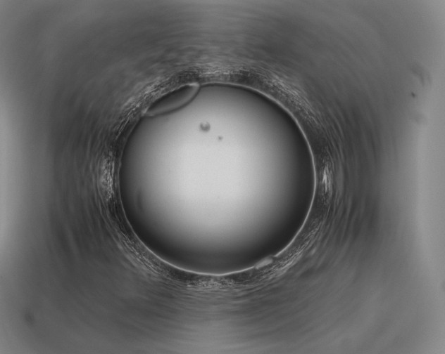 X0000115601348200911101357