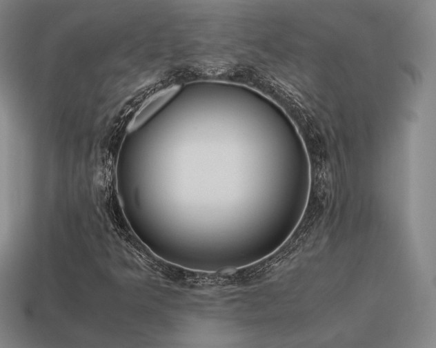 X0000115601349200911101357