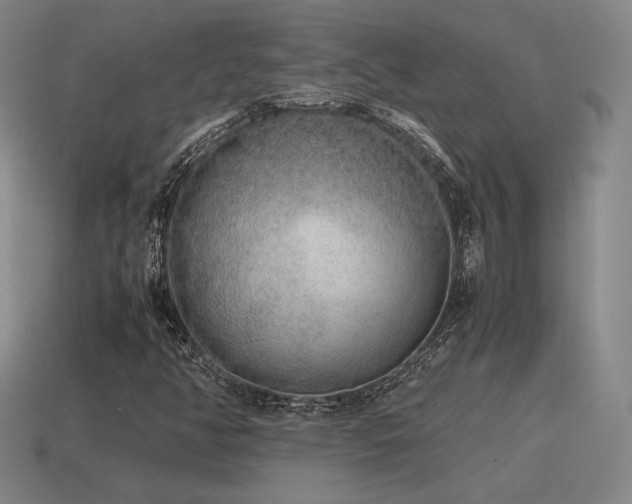 X0000115601350200911101357
