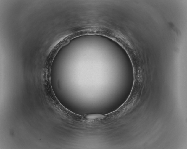 X0000115601352200911101357