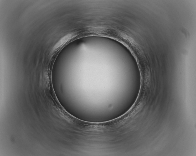 X0000115601354200911101357