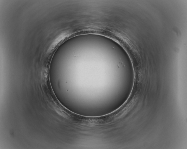 X0000115601355200911101357
