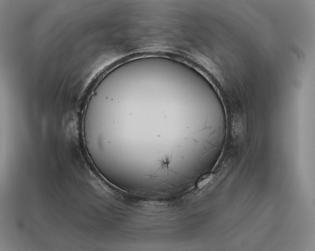 X0000115601356200911101357