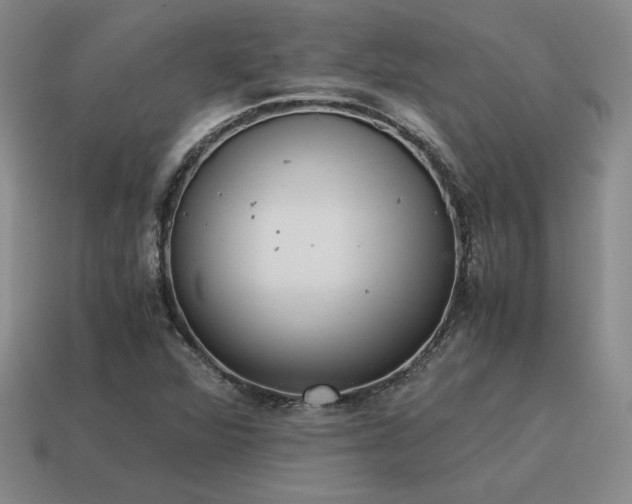 X0000115601360200911101357