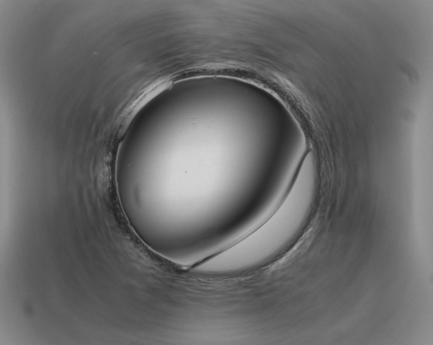 X0000115601361200911101357