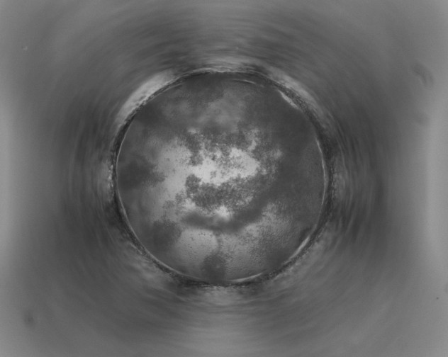 X0000115601362200911101357