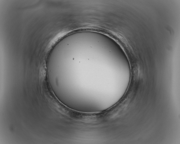 X0000115601363200911101357
