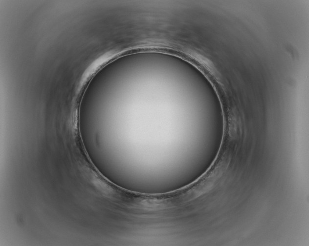 X0000115601366200911101357