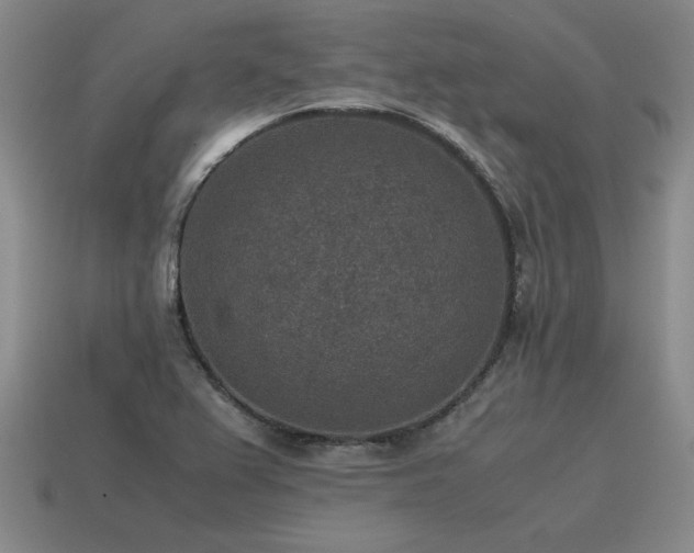 X0000115601367200911101357