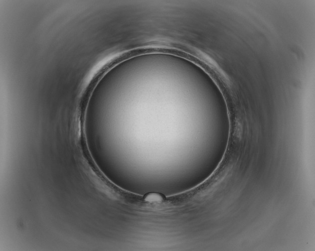 X0000115601368200911101357