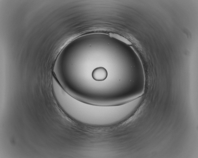 X0000115601369200911101356