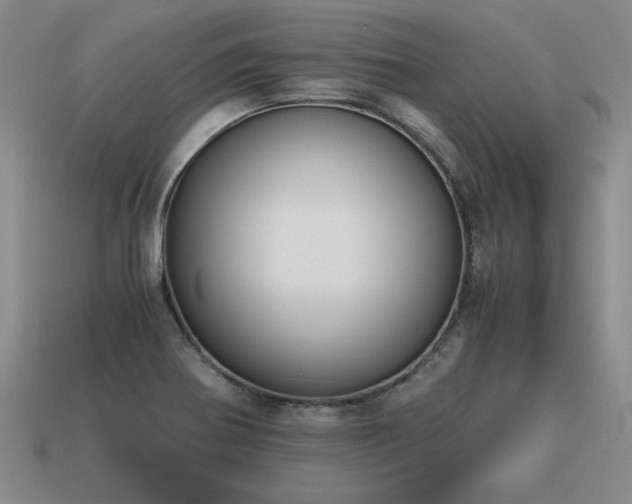X0000115601370200911101356