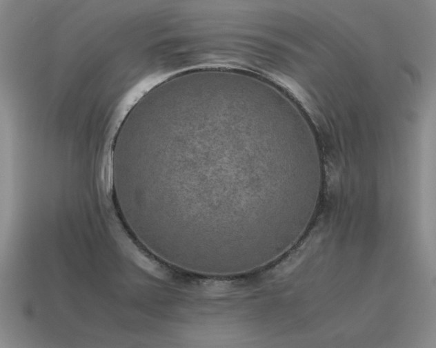 X0000115601371200911101356