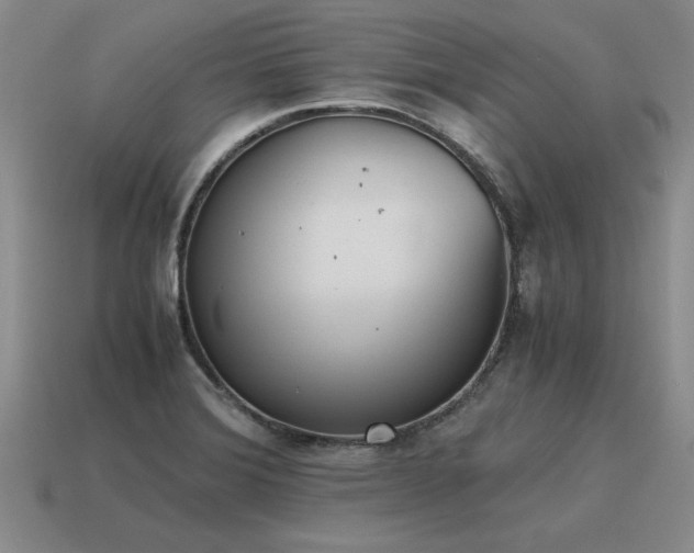 X0000115601372200911101356