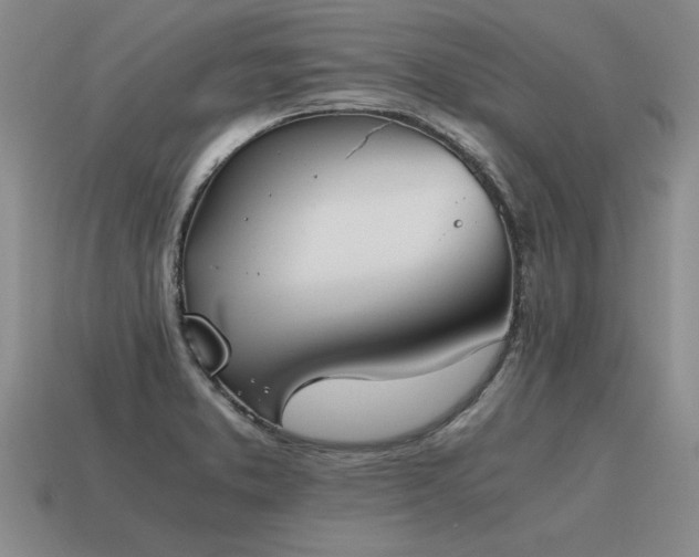 X0000115601373200911101356