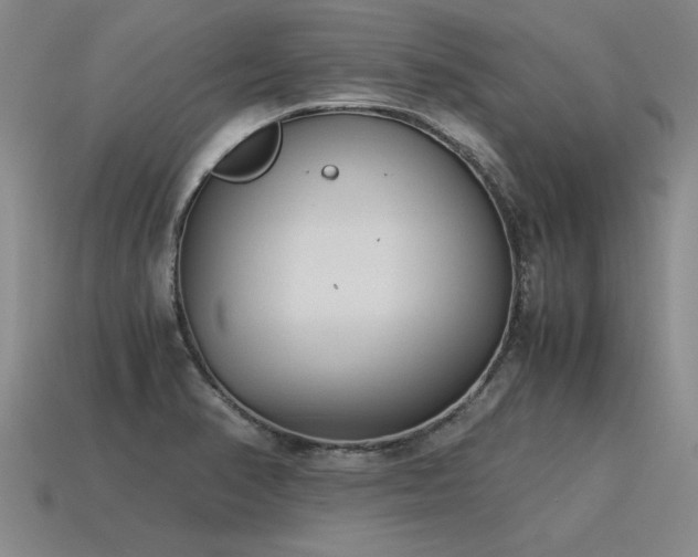 X0000115601374200911101356