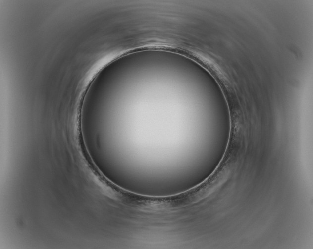 X0000115601375200911101356