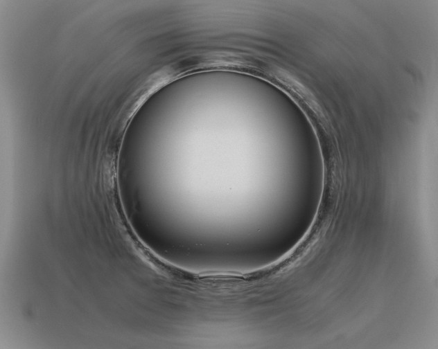 X0000115601377200911101356