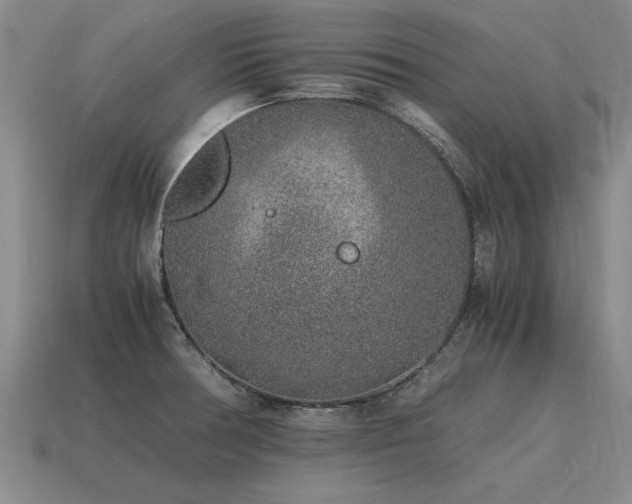 X0000115601378200911101356