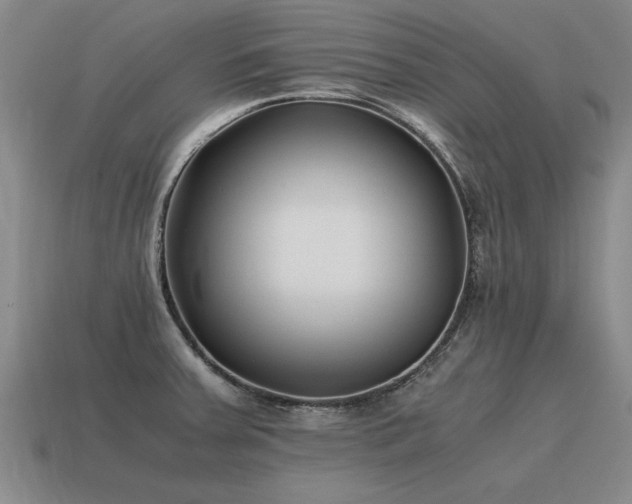 X0000115601379200911101356