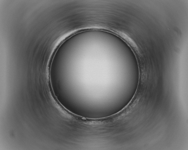 X0000115601380200911101356