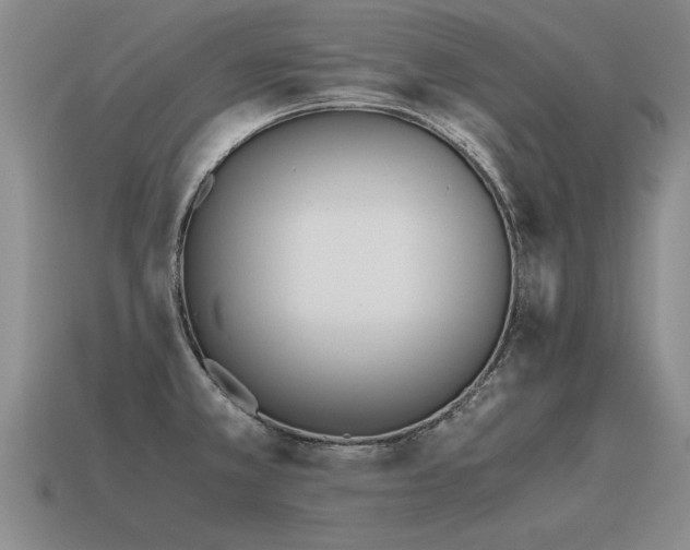 X0000115601381200911101356