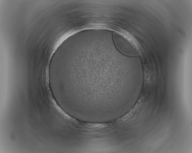 X0000115601382200911101356