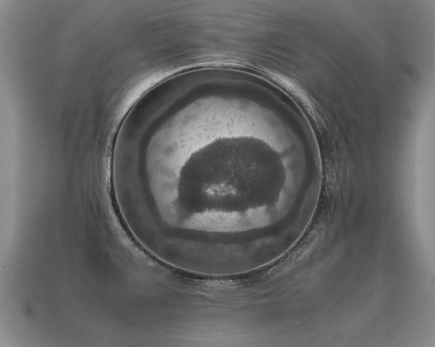 X0000115601383200911101356