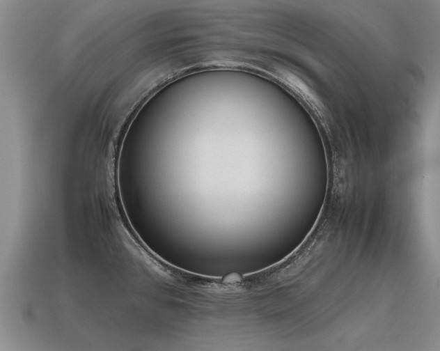 X0000115601384200911101356