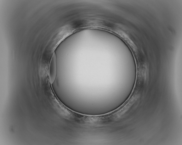X0000115601385200911101356