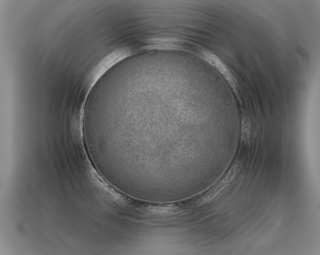 X0000115601386200911101356