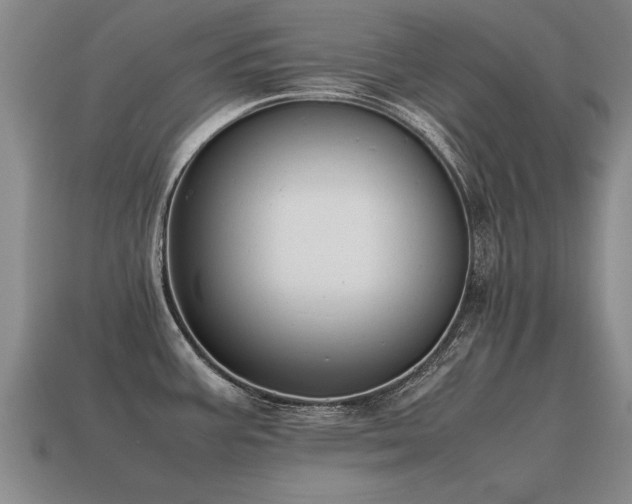 X0000115601387200911101356