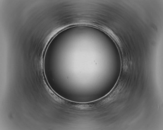 X0000115601388200911101356