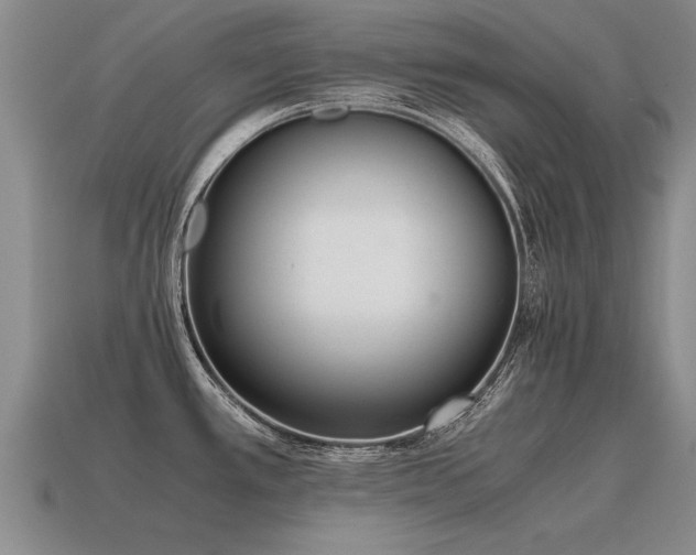 X0000115601389200911101356