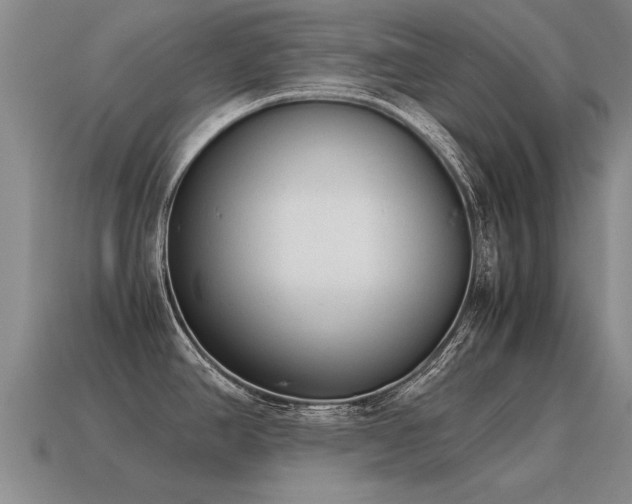 X0000115601390200911101356