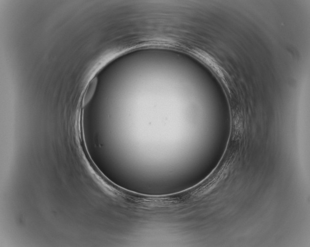 X0000115601391200911101356