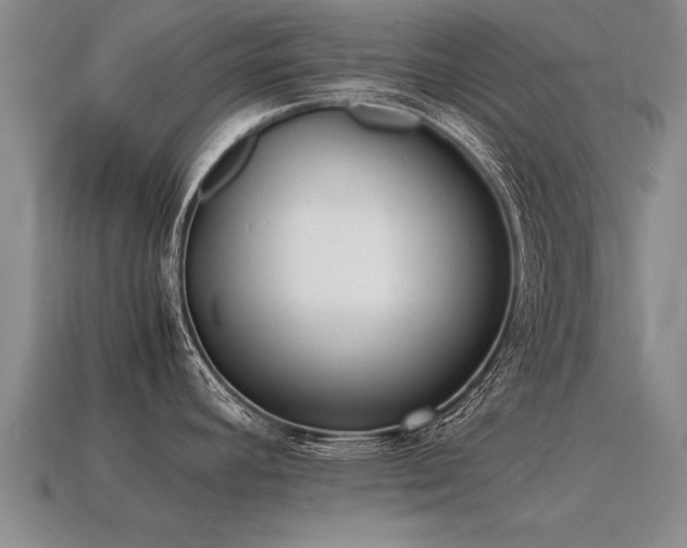 X0000115601392200911101356