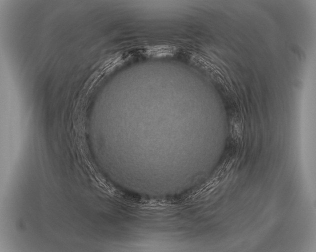 X0000115601393200911101355