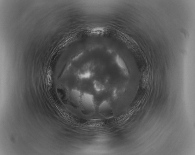 X0000115601394200911101355