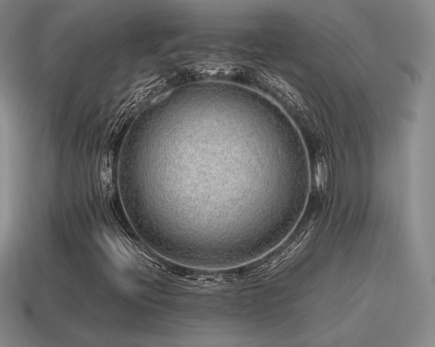 X0000115601396200911101356