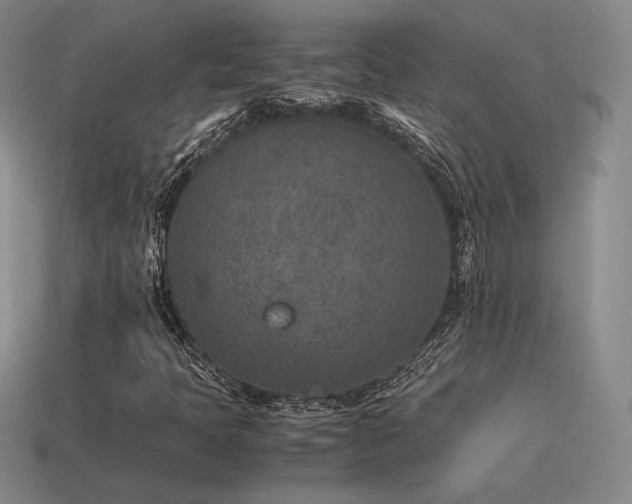 X0000115601397200911101356