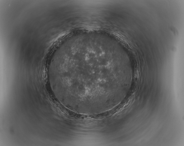 X0000115601398200911101356