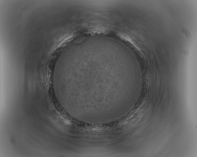 X0000115601399200911101356