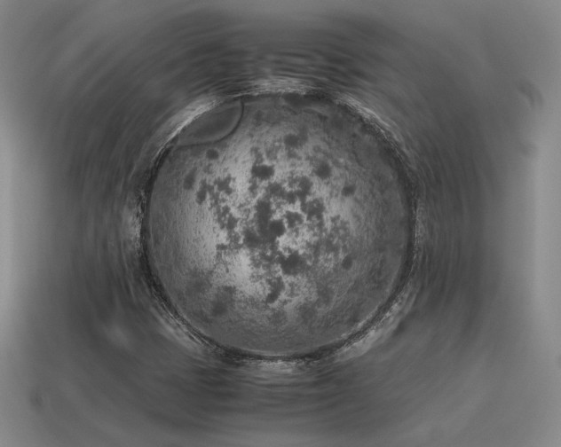 X0000115601401200911101356